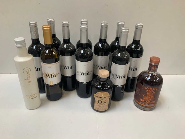 Alcohol vrije drank (13x) - afbeelding 1 van  4