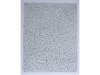 Alex nijs - zeefdruk - afbeelding 1 van  7