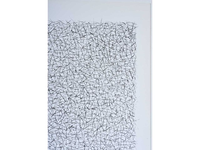 Alex nijs - zeefdruk - afbeelding 5 van  7