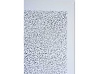 Alex nijs - zeefdruk - afbeelding 5 van  7