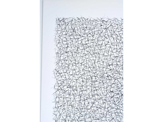 Alex nijs - zeefdruk - afbeelding 5 van  6