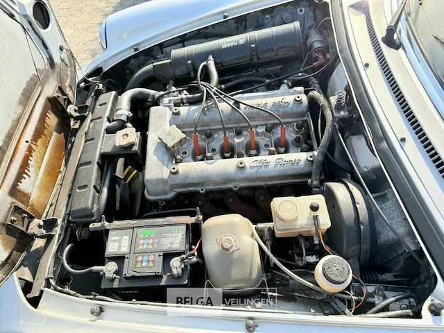 Alfa romeo spider - afbeelding 16 van  43