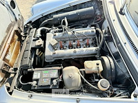 Alfa romeo spider - afbeelding 16 van  43