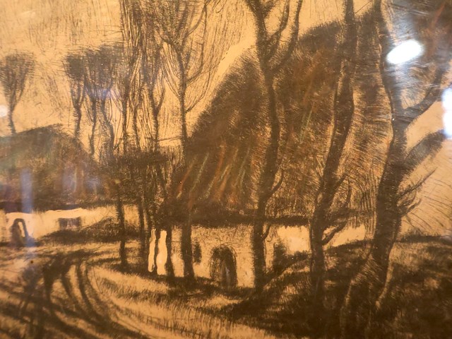 Alfons blomme - afbeelding 3 van  5