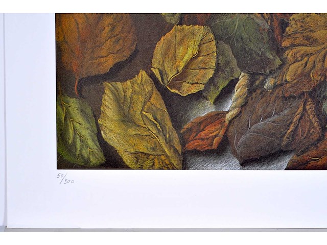Alfred hofkunst - kleurenoffset - afbeelding 3 van  5