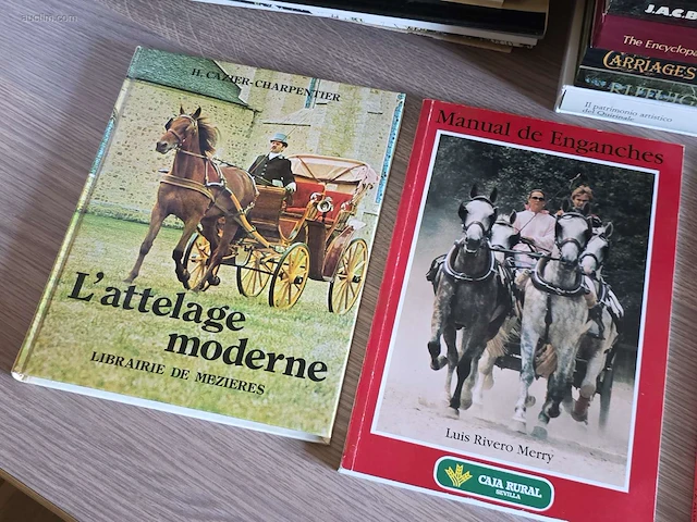 Algemene boeken over mennen (31x) - afbeelding 2 van  7