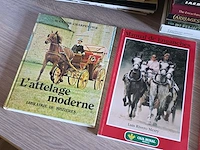 Algemene boeken over mennen (31x) - afbeelding 2 van  7