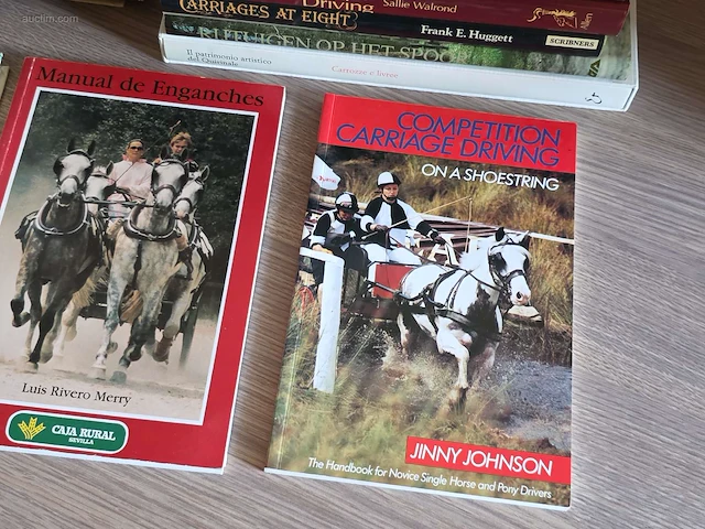Algemene boeken over mennen (31x) - afbeelding 3 van  7