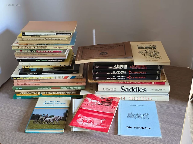 Algemene boeken over mennen (42x) - afbeelding 1 van  7