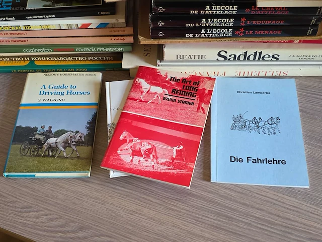 Algemene boeken over mennen (42x) - afbeelding 2 van  7