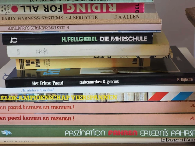 Algemene boeken over mennen (42x) - afbeelding 6 van  7