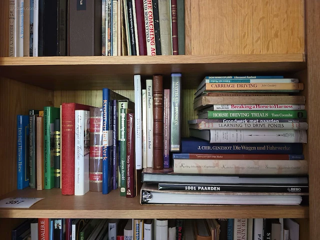 Algemene boeken over paarden en rijtuigen (39x) - afbeelding 1 van  5
