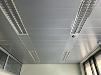Alle plafond panelen (375 m²) volledige zone r3 - afbeelding 5 van  5