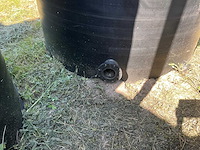 Allibert hdpe opslagtank - afbeelding 7 van  7