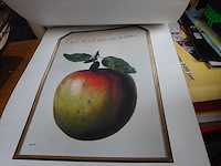 Almanak magritte - afbeelding 2 van  4