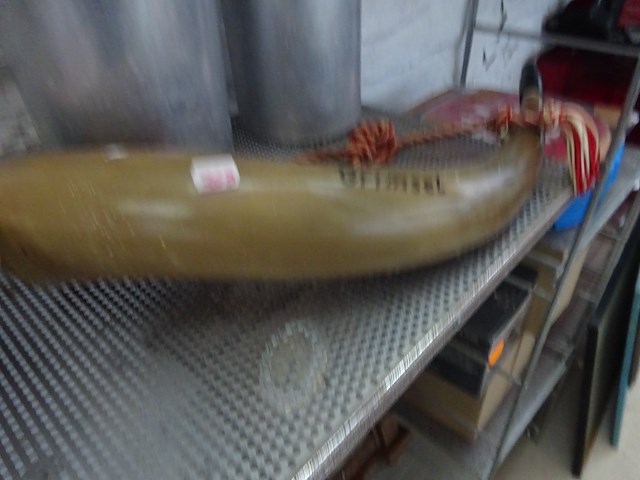 Alpen koehoorn - afbeelding 1 van  2