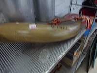 Alpen koehoorn - afbeelding 1 van  2