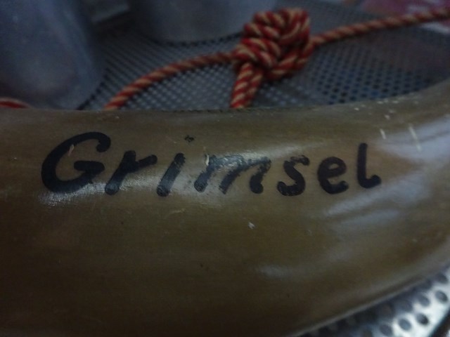 Alpen koehoorn - afbeelding 2 van  2