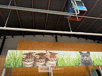Alu kader met banners kat - afbeelding 3 van  5
