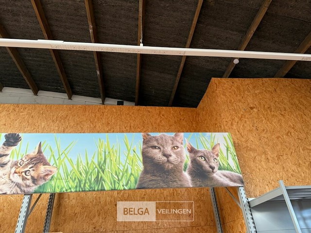 Alu kader met banners kat - afbeelding 4 van  5