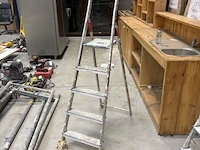 Alu trapladder hailo