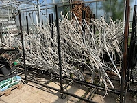 Aluminium boom voorzien van led verlichting - afbeelding 9 van  10