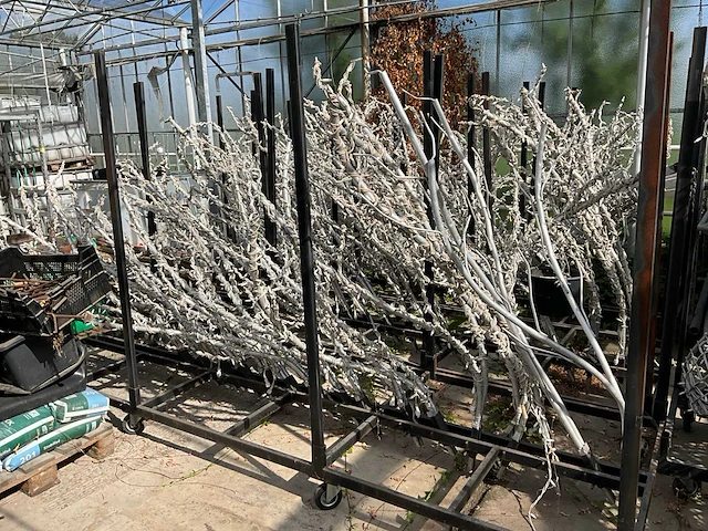 Aluminium boom voorzien van led verlichting - afbeelding 9 van  10