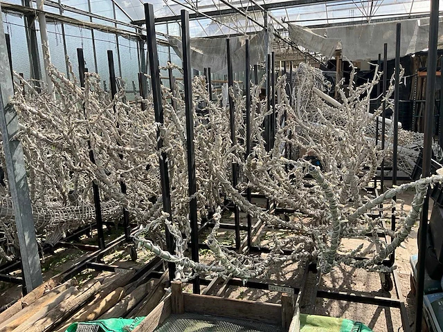 Aluminium boom voorzien van led verlichting - afbeelding 10 van  10