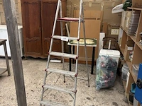 Aluminium trapladder