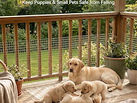 Amagabeli kippengaas (1,2m x 15m) - afbeelding 5 van  5