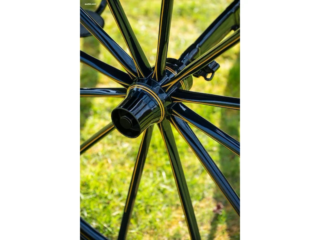 American hooded phaeton - afbeelding 2 van  15