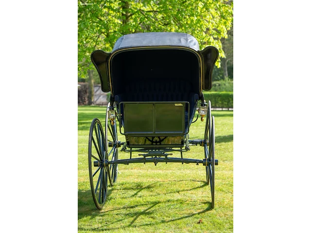 American hooded phaeton - afbeelding 3 van  15