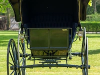 American hooded phaeton - afbeelding 3 van  15