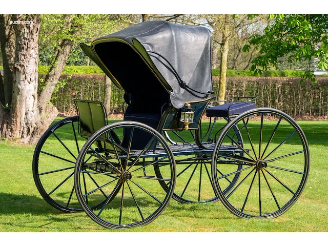 American hooded phaeton - afbeelding 1 van  15