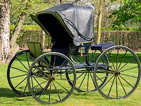 American hooded phaeton