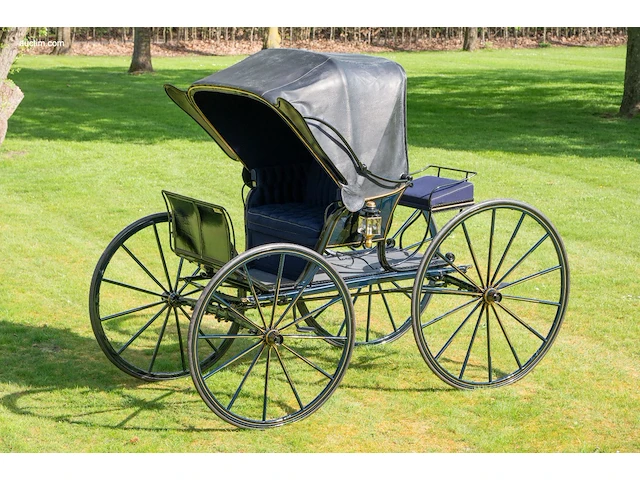 American hooded phaeton - afbeelding 8 van  15