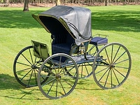American hooded phaeton - afbeelding 8 van  15
