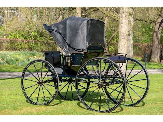 American hooded phaeton - afbeelding 9 van  15