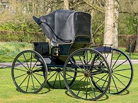 American hooded phaeton - afbeelding 9 van  15