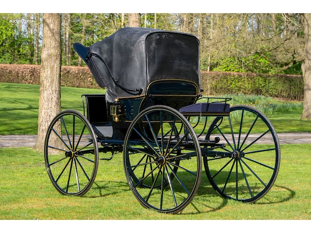 American hooded phaeton - afbeelding 10 van  15