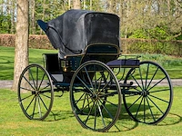 American hooded phaeton - afbeelding 10 van  15
