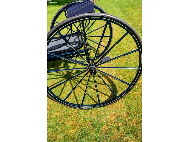 American hooded phaeton - afbeelding 12 van  15