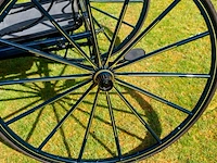 American hooded phaeton - afbeelding 12 van  15