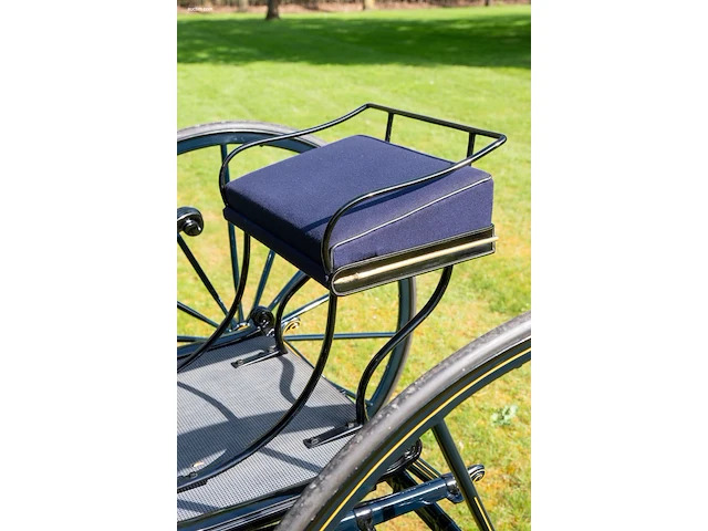 American hooded phaeton - afbeelding 14 van  15