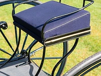 American hooded phaeton - afbeelding 14 van  15