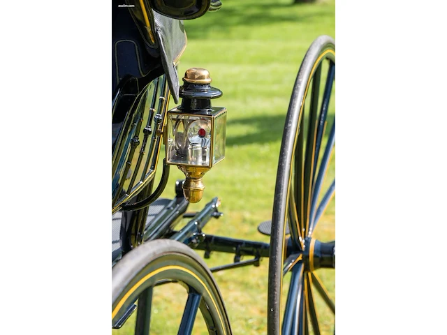 American hooded phaeton - afbeelding 15 van  15