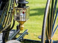 American hooded phaeton - afbeelding 15 van  15