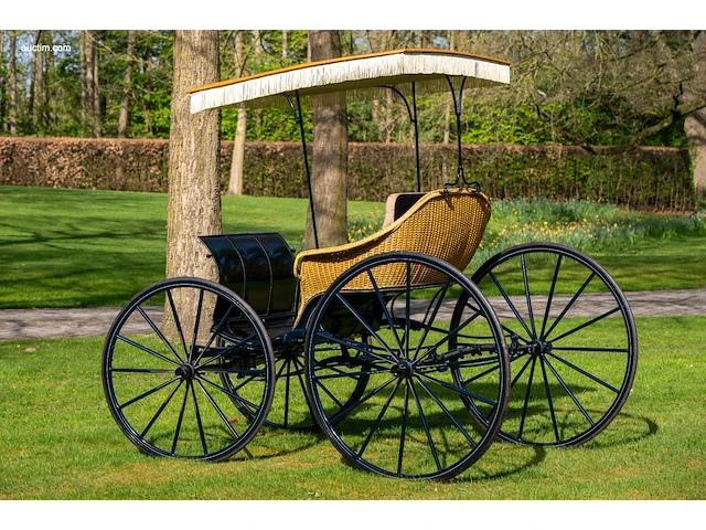 American ladies phaeton - afbeelding 2 van  18
