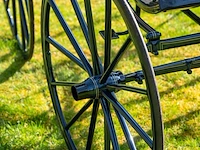 American ladies phaeton - afbeelding 5 van  18