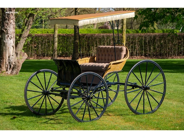 American ladies phaeton - afbeelding 1 van  18